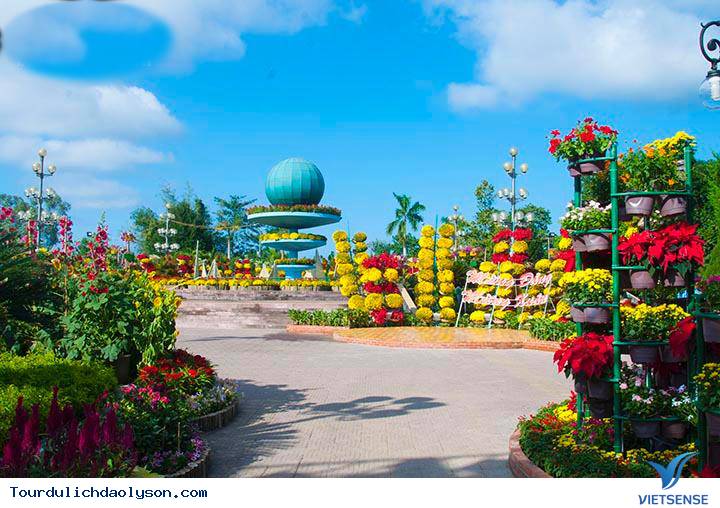 Đảo Lý Sơn- Quảng Ngãi rực rỡ đón xuân - Ảnh 3 Đảo Lý Sơn- Quảng Ngãi rực rỡ đón xuân - Ảnh 3