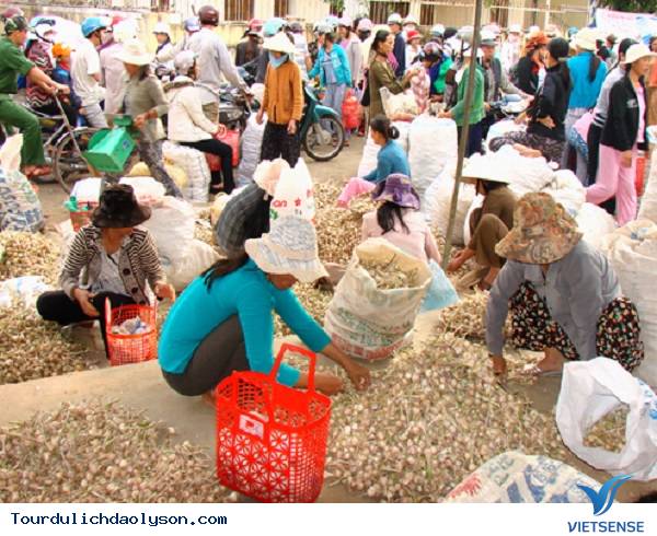 Đâu là tỏi Lý Sơn Quảng Ngãi - Ảnh 2 Đâu là tỏi Lý Sơn Quảng Ngãi - Ảnh 2