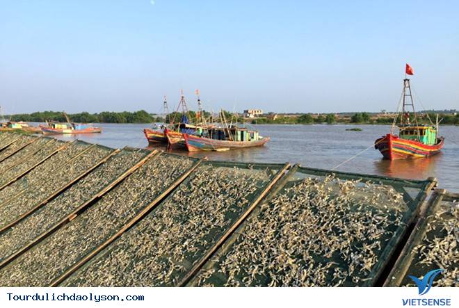 Đời sông của ngư dân xứ Quảng - Ảnh 2