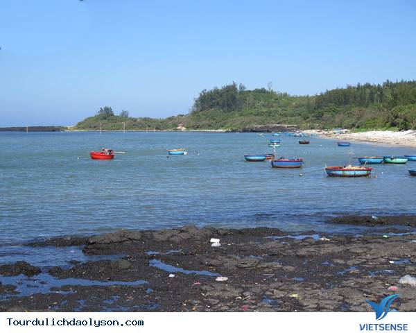 Dự án hành trình FLC Bình Châu- Lý Sơn - Ảnh 3