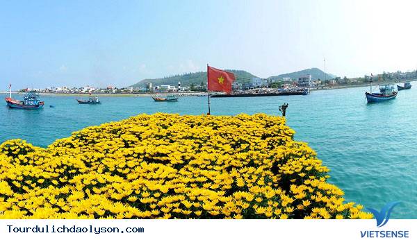 Hành trình ra đảo Lý Sơn - Ảnh 2