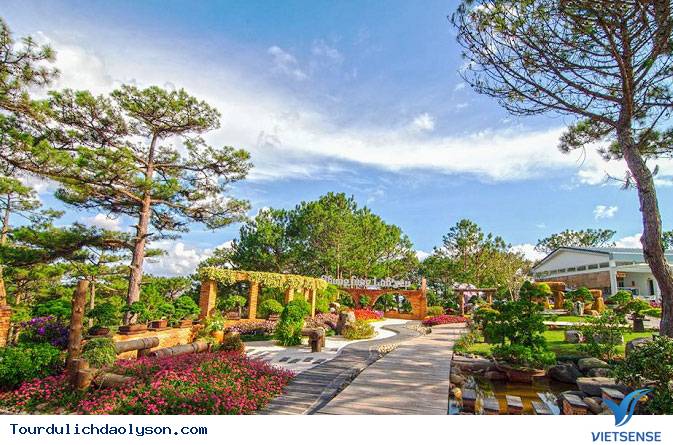 hành trình đảo Lý Sơn Quảng Ngãi 3 ngày 2 đêm - Ảnh 2