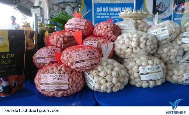 hành trình Lý Sơn- Mùa tỏi chín - Ảnh 3 hành trình Lý Sơn- Mùa tỏi chín - Ảnh 3