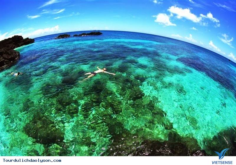 hành trình Lý Sơn nhất định bạn phải ghé đảo An Bình - Ảnh 5 hành trình Lý Sơn nhất định bạn phải ghé đảo An Bình - Ảnh 5