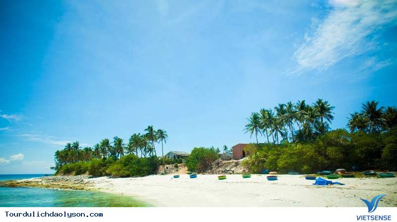 hành trình Lý Sơn nhất định bạn phải ghé đảo An Bình - Ảnh 3 hành trình Lý Sơn nhất định bạn phải ghé đảo An Bình - Ảnh 3