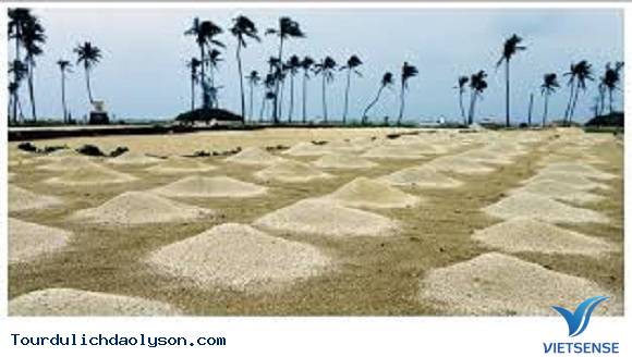 hành trình Lý Sơn sang chảnh không quá 3 triệu đồng - Ảnh 2 hành trình Lý Sơn sang chảnh không quá 3 triệu đồng - Ảnh 2