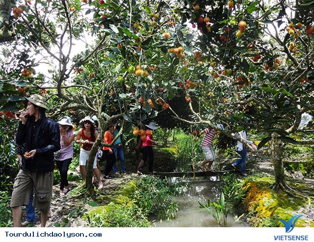 hành trình miệt vườn Xứ Quảng - Ảnh 2