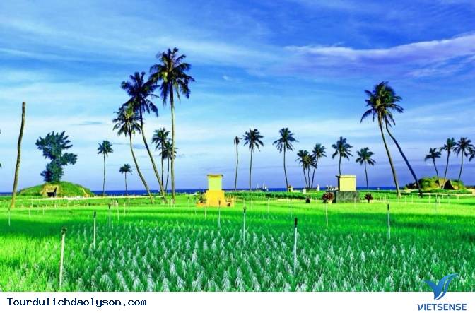 hành trình thú vị trên biển đảo Lý Sơn - Ảnh 3