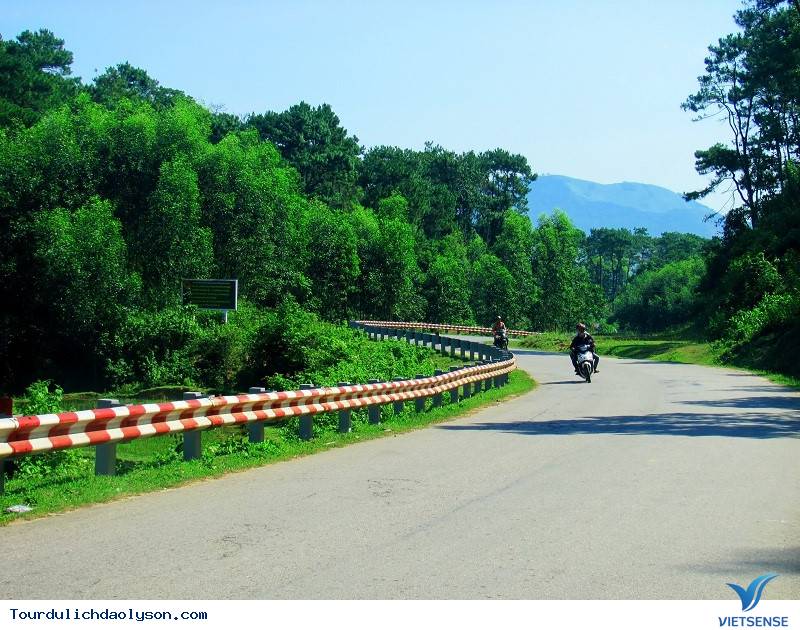 Du ngoạn mây trời trên đèo Violắc Quảng Ngãi - Ảnh 3