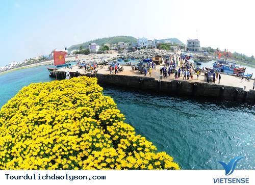 Du xuân trên đảo Lý Sơn - Ảnh 4