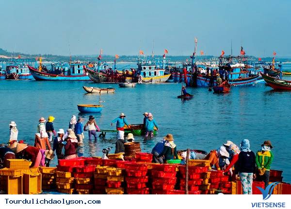 Ghé thăm quê hương hải đội Hoàng Sa - Ảnh 2