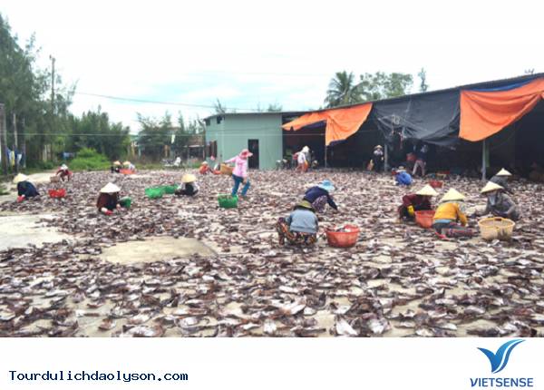 Giá mực xà tăng cao niềm vui của ngư dân Xứ Quảng - Ảnh 1