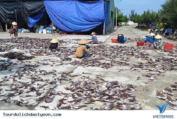 Giá mực xà tăng cao niềm vui của ngư dân Xứ Quảng - Ảnh 2