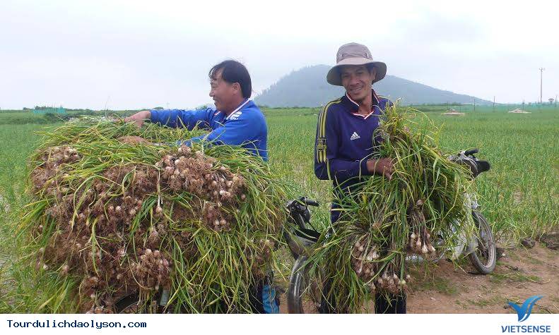 Khám phá cảnh đẹp biển đảo Lý Sơn - Ảnh 4