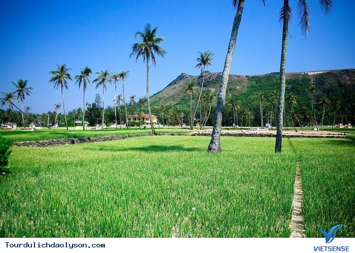 Nghề lặn biển của người dân tại đảo Lý Sơn - Ảnh 2 Nghề lặn biển của người dân tại đảo Lý Sơn - Ảnh 2