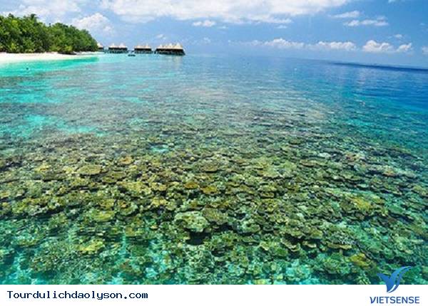 Khám phá miền đất hứa của đảo tiền tiêu Lý Sơn - Ảnh 2