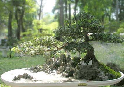 La Hà thạch trận Quảng Ngãi - Ảnh 3 La Hà thạch trận Quảng Ngãi - Ảnh 3