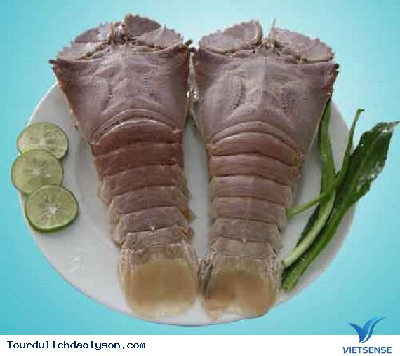 Phần vỏ - Ảnh 1 Phần vỏ - Ảnh 1