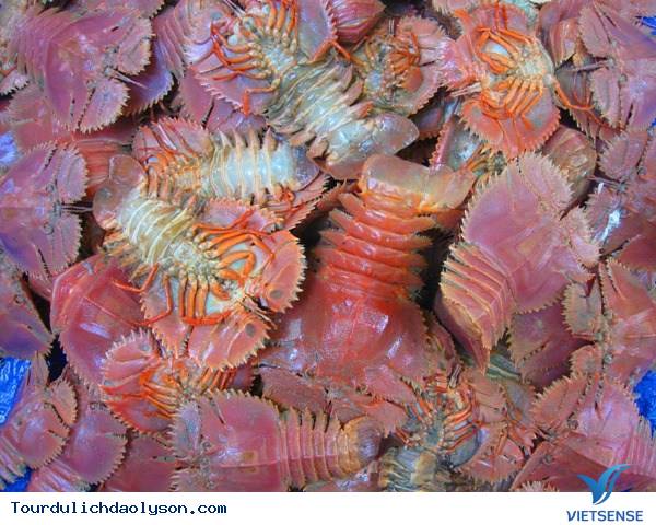 Phần lưng Phần lưng