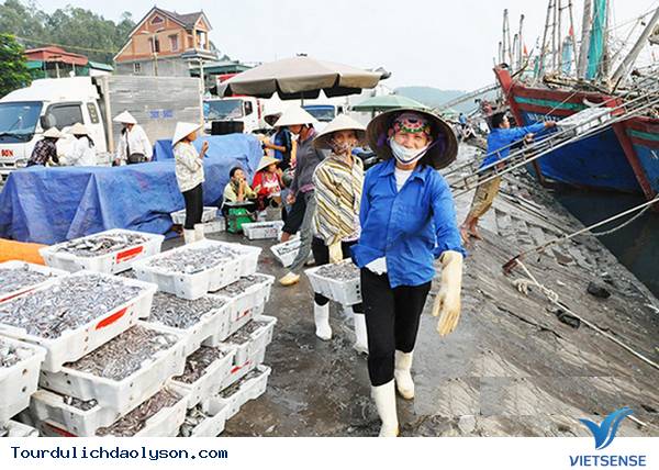 Lộc biển về với ngư dân biển đảo Lý Sơn - Ảnh 1 Lộc biển về với ngư dân biển đảo Lý Sơn - Ảnh 1