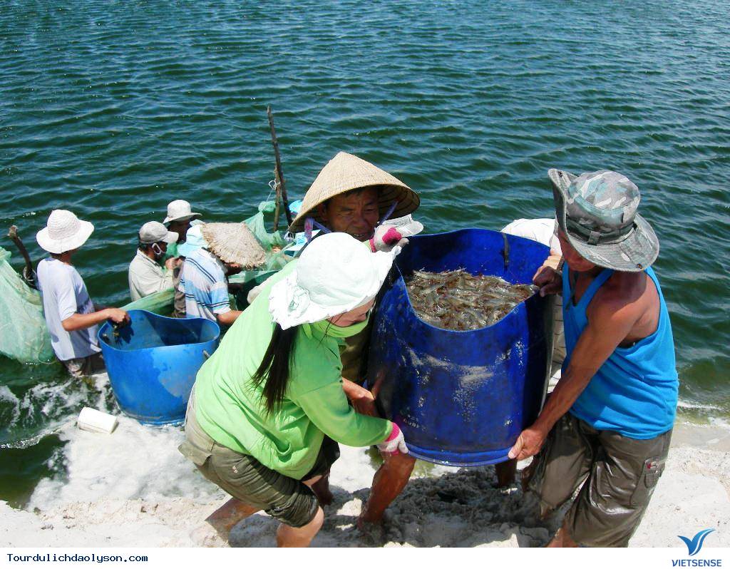 Lộc biển về với ngư dân biển đảo Lý Sơn - Ảnh 2 Lộc biển về với ngư dân biển đảo Lý Sơn - Ảnh 2