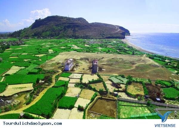 Chùm đặc sản độc đáo tại đảo Lý Sơn - Ảnh 1 Chùm đặc sản độc đáo tại đảo Lý Sơn - Ảnh 1