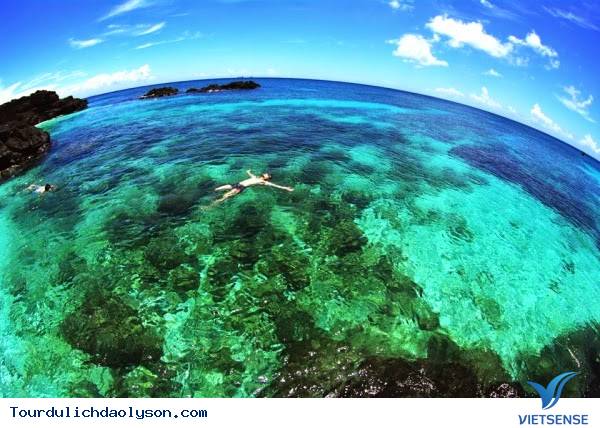 Bãi trước Bãi trước