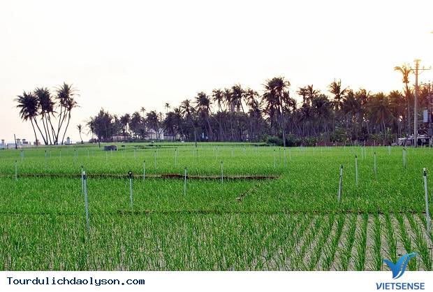 Lý Sơn đâu chỉ có tỏi mà có cả thiên đường biển đẹp - Ảnh 3