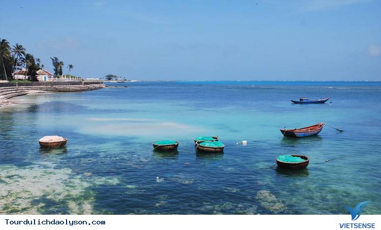 Lý Sơn miền đất hứa - Ảnh 1