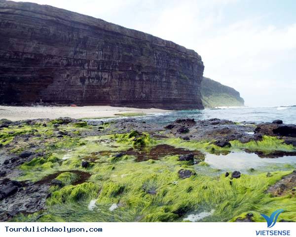 Lý Sơn Mở Rộng Công Viên Địa Chất Ra Nhiều Khu Vực - Ảnh 5 Lý Sơn Mở Rộng Công Viên Địa Chất Ra Nhiều Khu Vực - Ảnh 5