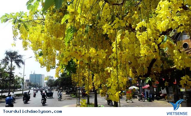Lý Sơn- Quảng Ngãi con đường của những sắc hoa - Ảnh 5 Lý Sơn- Quảng Ngãi con đường của những sắc hoa - Ảnh 5