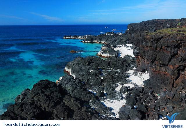 hành trình được ưu tiên trở thành kinh tế mũi nhọn - Ảnh 1