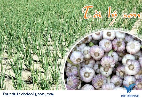 hành trình được ưu tiên trở thành kinh tế mũi nhọn - Ảnh 2