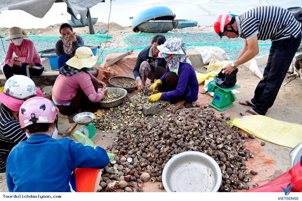 Mùa săn ốc mặt trăng đảo Lý Sơn - Ảnh 3 Mùa săn ốc mặt trăng đảo Lý Sơn - Ảnh 3