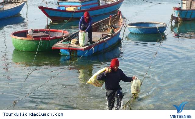 Mùa săn ốc mặt trăng đảo Lý Sơn - Ảnh 4 Mùa săn ốc mặt trăng đảo Lý Sơn - Ảnh 4