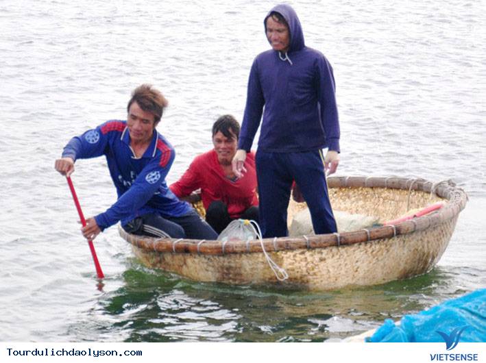 Mùa săn ốc mặt trăng đảo Lý Sơn - Ảnh 2 Mùa săn ốc mặt trăng đảo Lý Sơn - Ảnh 2