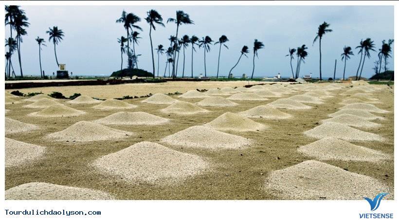 Nghề biển của Người dân xứ Quảng - Ảnh 4 Nghề biển của Người dân xứ Quảng - Ảnh 4