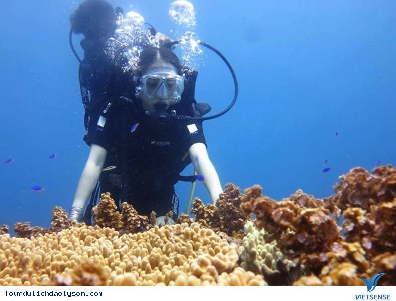 Ngỡ ngàng trước kỳ quan cổng Tò Vò dưới nước khi tới Lý Sơn - Ảnh 2