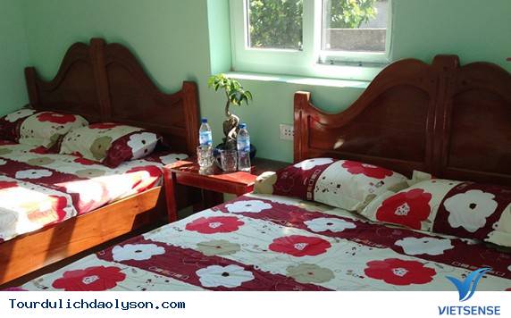 Nhà Nghỉ Lý Trí- Đảo Lý Sơn