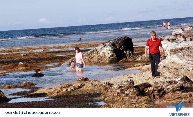 Nham thạch ngủ vùi ở Hang Câu- Lý Sơn - Ảnh 5