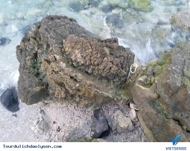 Nham thạch San Hô ở Lý Sơn - Ảnh 1