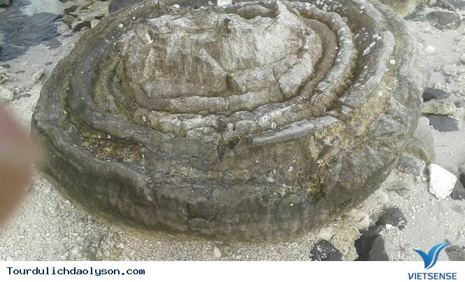 Nham thạch San Hô ở Lý Sơn - Ảnh 2