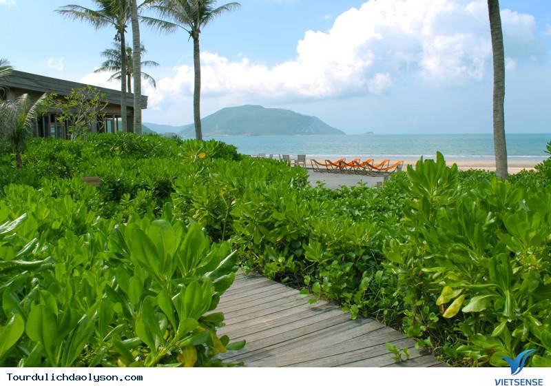 Những cây bàng vuông phủ kín miền cát trắng - Ảnh 5