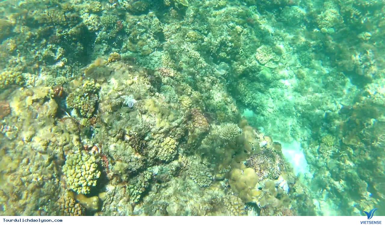 Những chiếc ca nô phục vụ khách thăm quan đảo Lý Sơn - Ảnh 2 Những chiếc ca nô phục vụ khách thăm quan đảo Lý Sơn - Ảnh 2