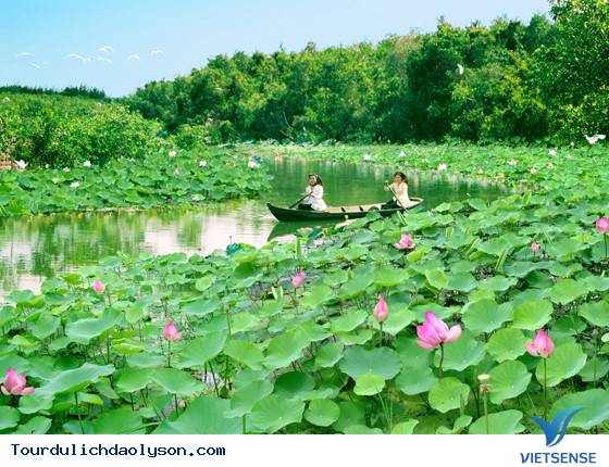 Những điểm đến tuyệt đẹp không thể bỏ qua trong tháng 3 ở Việt Nam - Ảnh 9