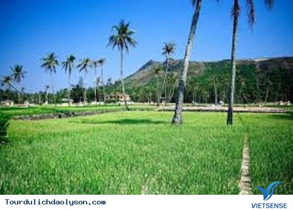 Nên đi thăm quan Lý Sơn vào thời gian nào? - Ảnh 1