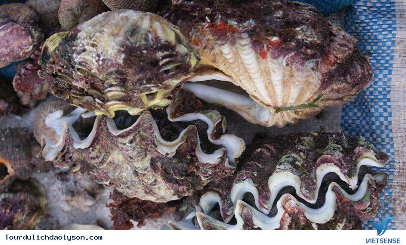 Nên ăn gì khi đi thăm quan Lý Sơn? - Ảnh 2