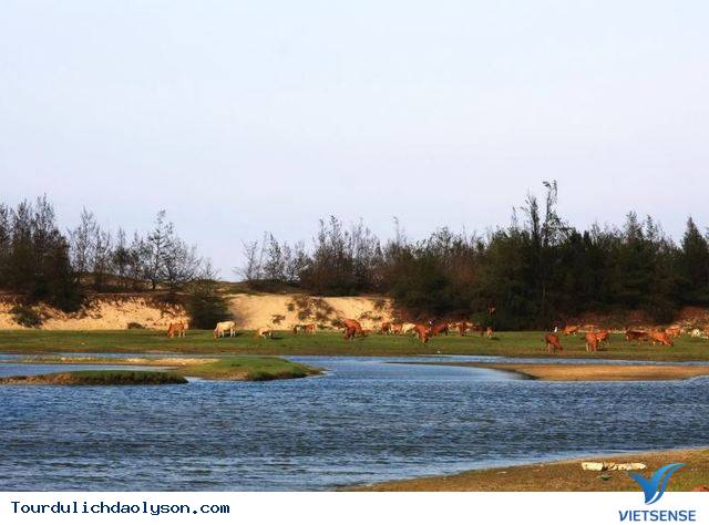 Những giá trị văn hóa được bảo tồn và phát huy tại xứ Quảng - Ảnh 3