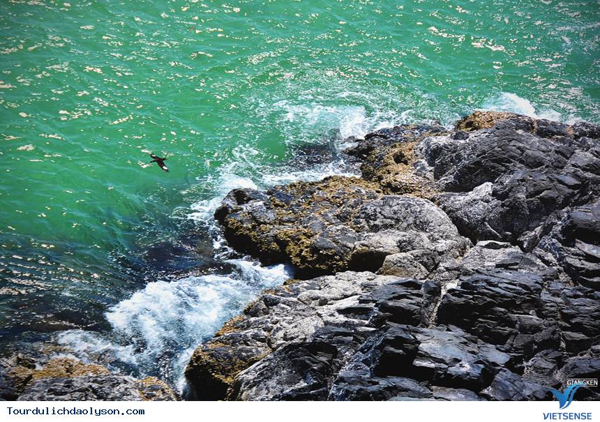 Những miệng núi lửa cổ ở vùng biển Quảng Ngãi - Ảnh 7