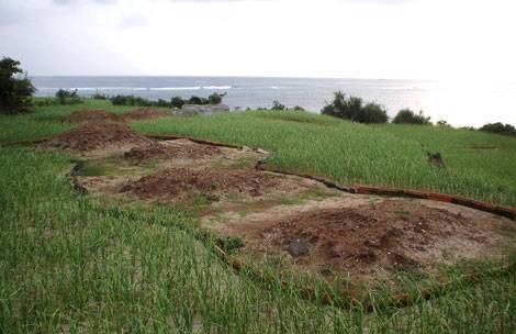 Những nấm mộ linh thiêng trên đảo Lý Sơn - Ảnh 2 Những nấm mộ linh thiêng trên đảo Lý Sơn - Ảnh 2